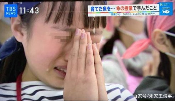 亲自养、亲自杀、亲自吃，日本最变态生命课，逼孩子吃养大的鸡，你怎么看？