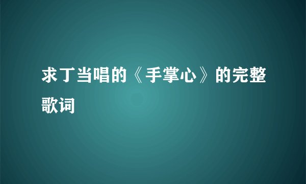 求丁当唱的《手掌心》的完整歌词