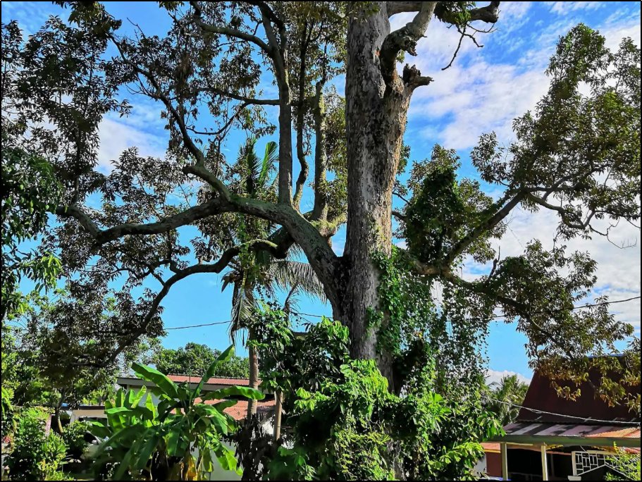 各地婚礼的打开方式