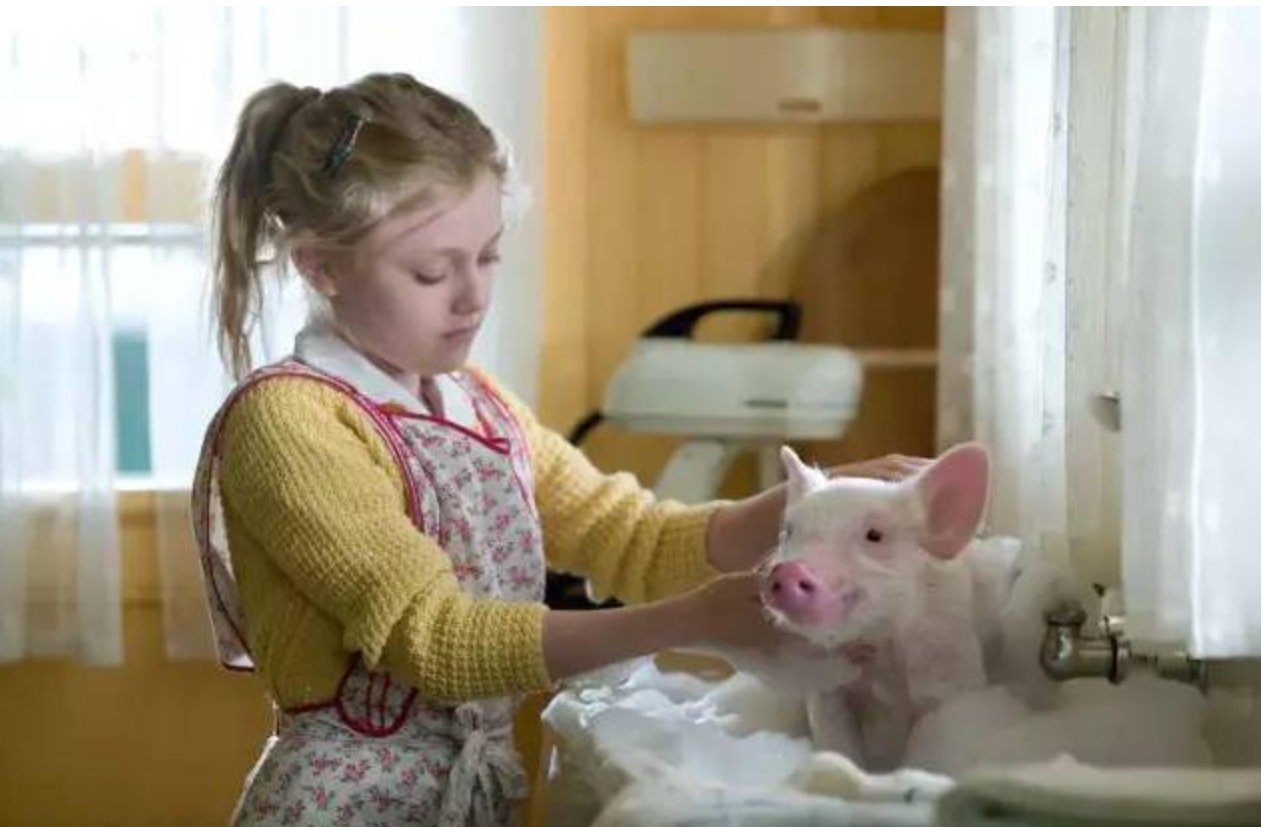 英文字幕的英文电影