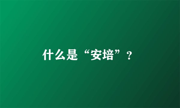 什么是“安培”？