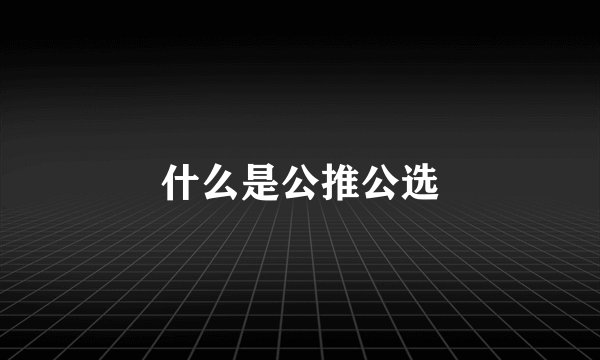 什么是公推公选