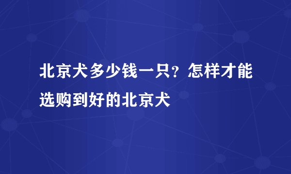 北京犬多少钱一只？怎样才能选购到好的北京犬