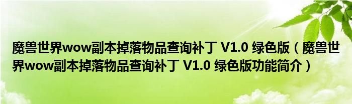 魔兽世界wow副本掉落物品查询补丁V10绿色版魔兽世界wow副本掉落物品查询补丁V10绿色版功能简介