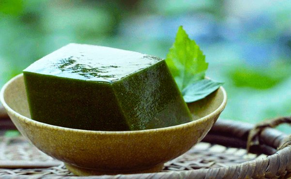 豆腐树的药用价值有哪些？