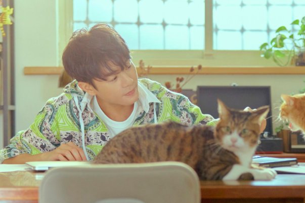 韦礼安本是新一代台湾歌王，为什么要参加《中国好声音》呢？