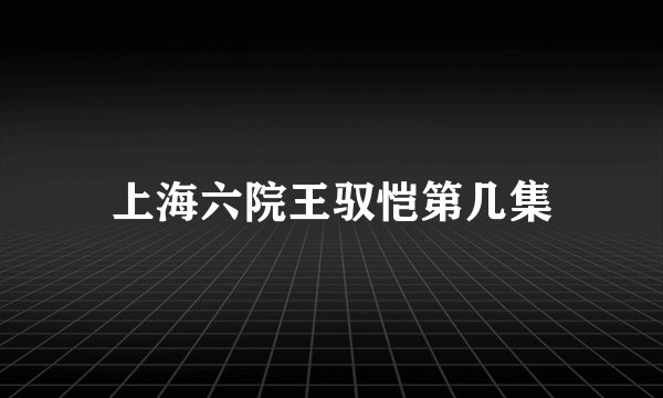 上海六院王驭恺第几集