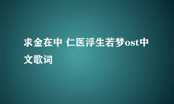 求金在中 仁医浮生若梦ost中文歌词