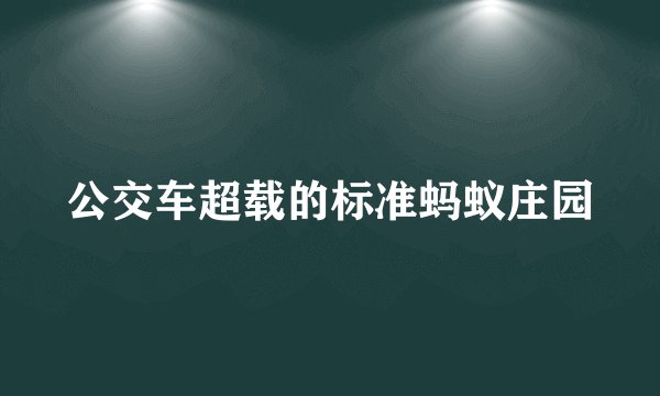 公交车超载的标准蚂蚁庄园