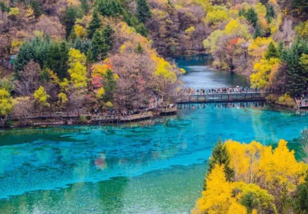 11月份去哪里旅游最好国内