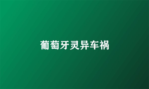 葡萄牙灵异车祸