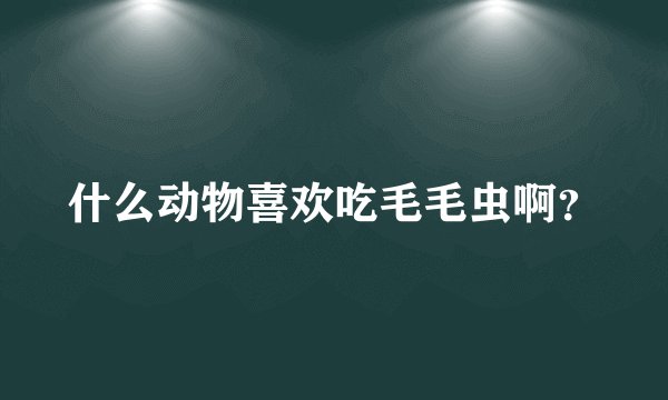 什么动物喜欢吃毛毛虫啊？