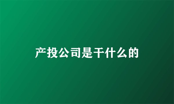 产投公司是干什么的