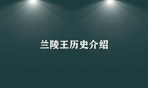兰陵王历史介绍