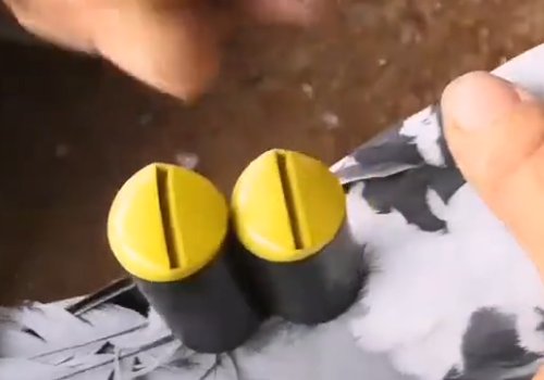 怎样给鸽子带哨子图