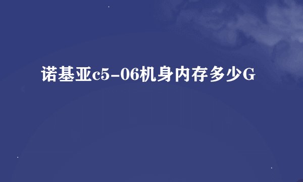诺基亚c5-06机身内存多少G