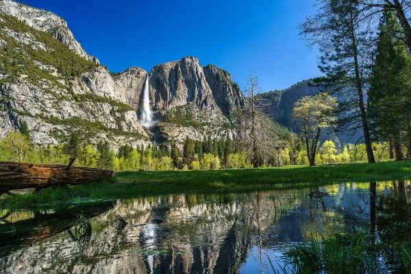 言之有据指什么生肖