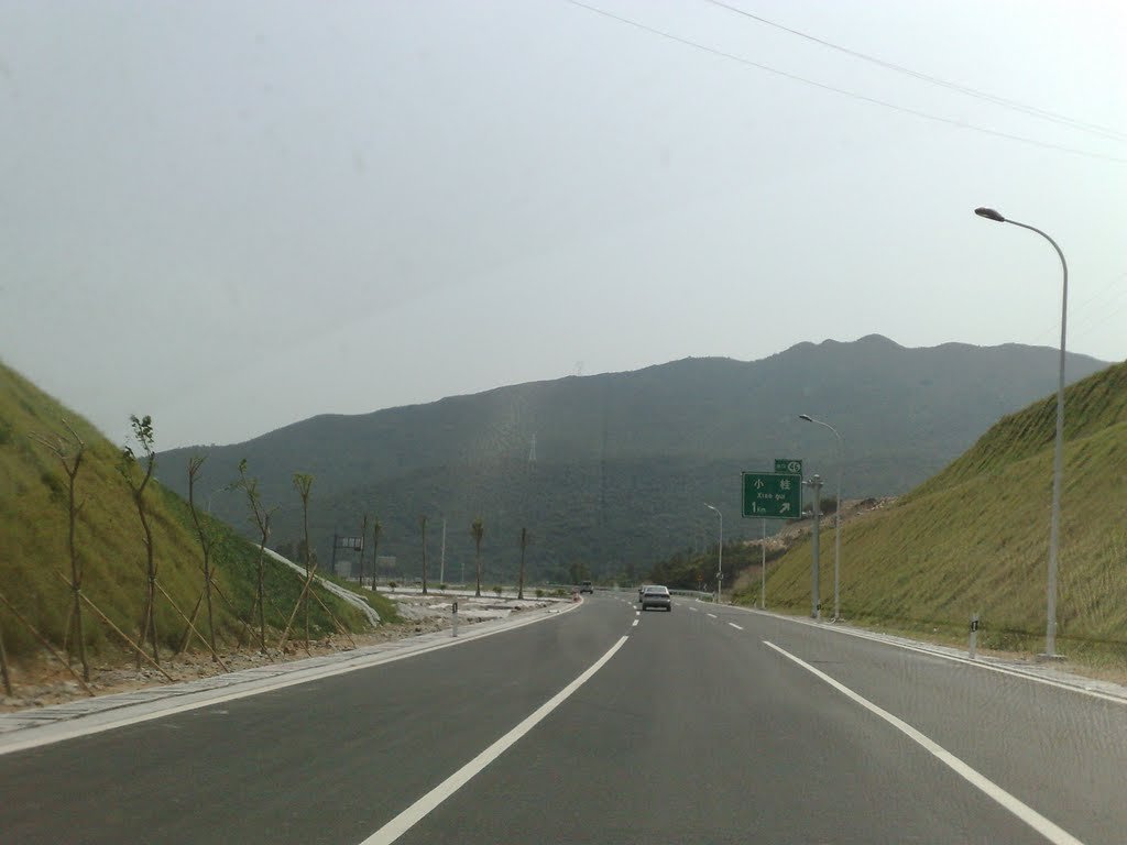 沿海高速公路的介绍