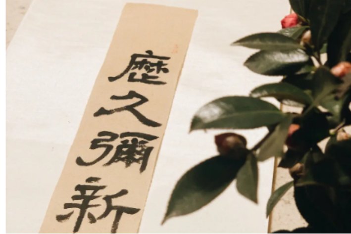 历久弥新的意思是什么