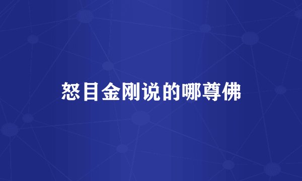 怒目金刚说的哪尊佛