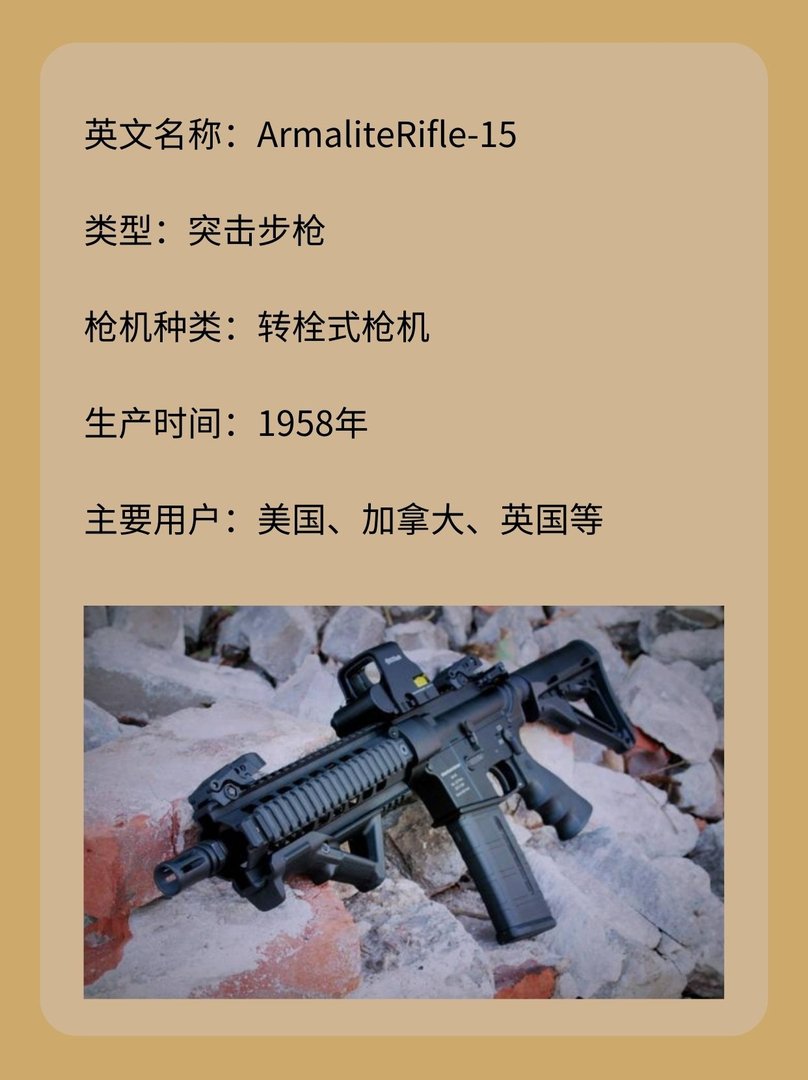美国AR-15突击步枪