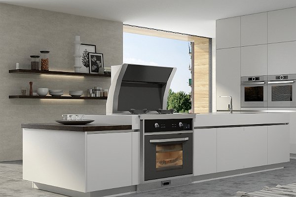 柴火集成灶品牌排行榜