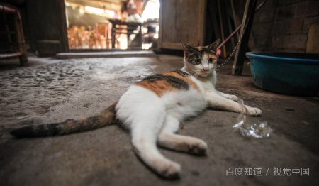 长沙值得去的会所