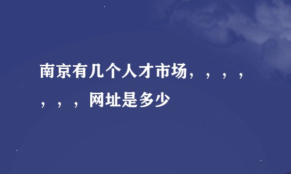 南京有几个人才市场，，，，，，，网址是多少
