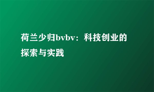 荷兰少归bvbv：科技创业的探索与实践
