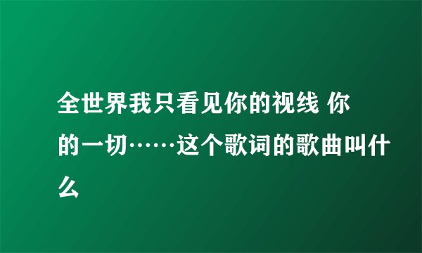 全世界我只看见你的视线 你的一切……这个歌词的歌曲叫什么