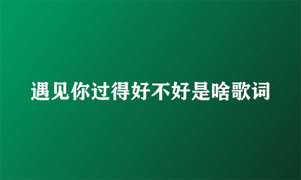 遇见你过得好不好是啥歌词