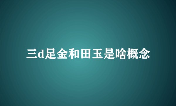 三d足金和田玉是啥概念