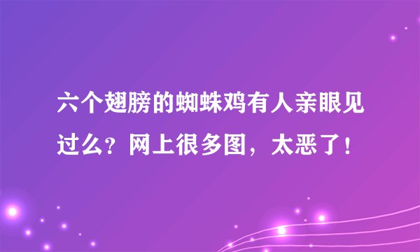 六个翅膀的蜘蛛鸡有人亲眼见过么？网上很多图，太恶了！