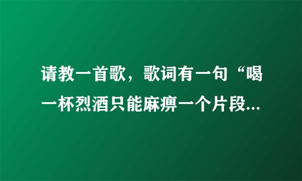 请教一首歌，歌词有一句“喝一杯烈酒只能麻痹一个片段”。 男声唱的，等待大神赐教。。。