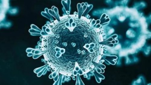 广东韶关现传染性极强变异株,其主要的传播途径是怎样的?