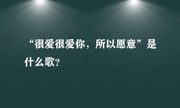 “很爱很爱你，所以愿意”是什么歌？