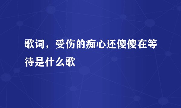 歌词，受伤的痴心还傻傻在等待是什么歌
