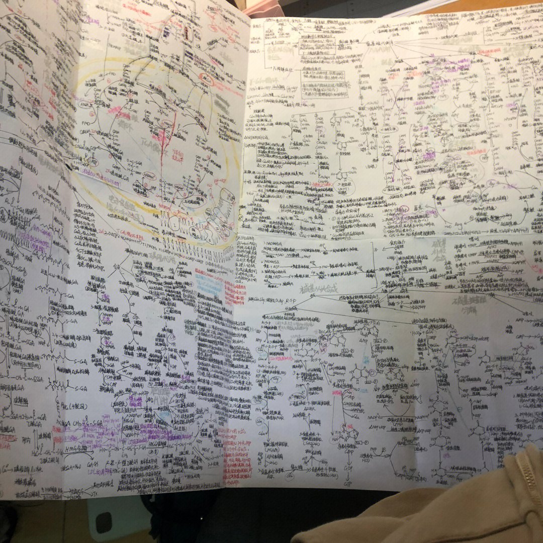 电子科技大学生物学考研经验？