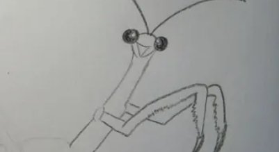 螳螂初号机怎么画