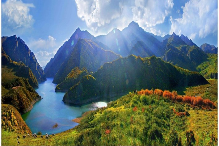 用天然造句子二年级