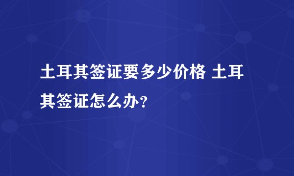 土耳其签证要多少价格 土耳其签证怎么办？