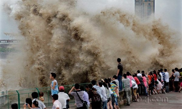 钱塘江大潮的文章和图片