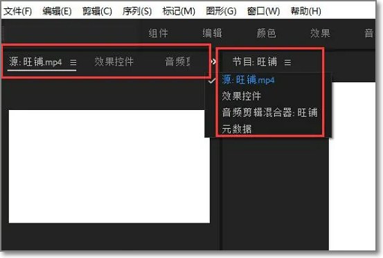 pr九尾狐正能量版如何使用？