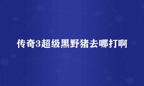 传奇3超级黑野猪去哪打啊