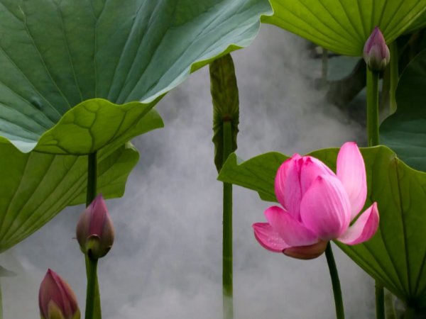 好看的耽美小说推荐