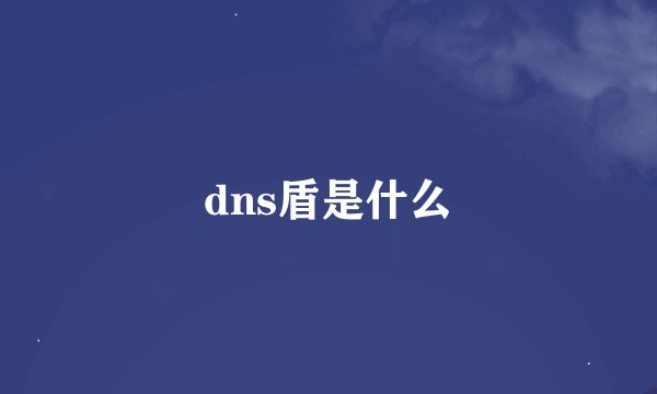 dns盾是什么