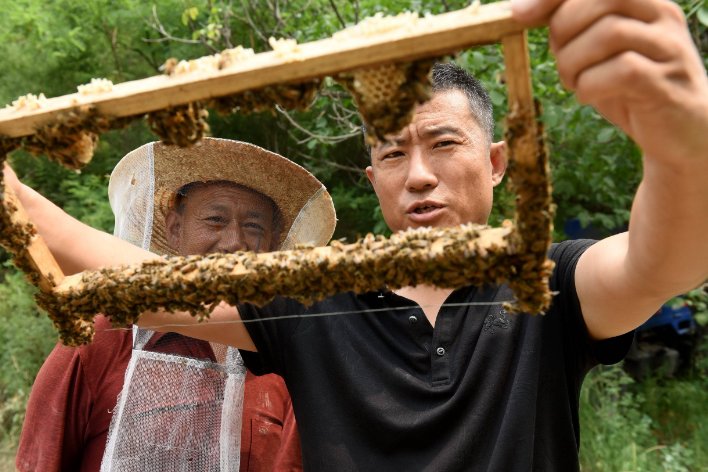 用蜜蜂借物喻人一段话