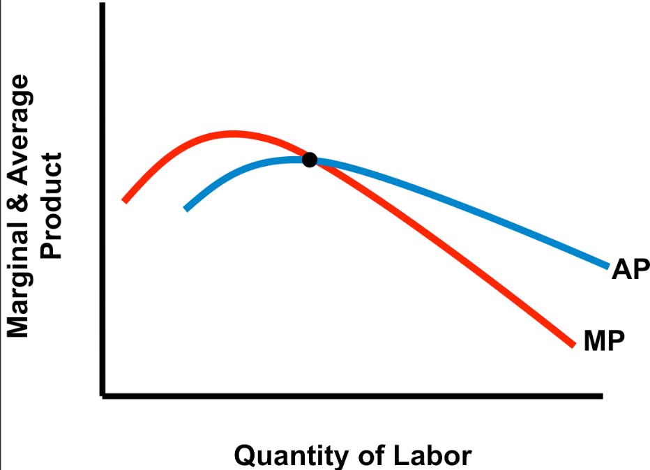 ap是什么意思经济学
