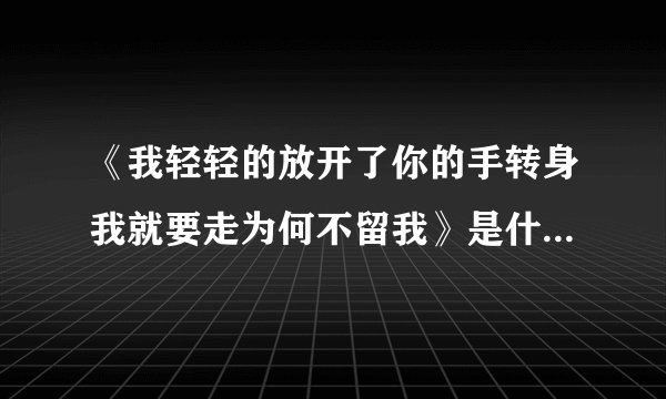 《我轻轻的放开了你的手转身我就要走为何不留我》是什么歌的歌词