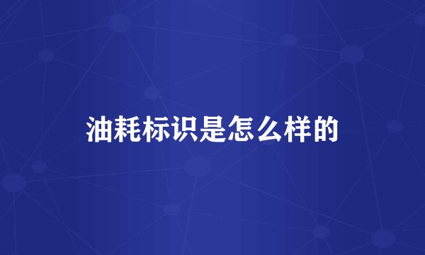 油耗标识是怎么样的